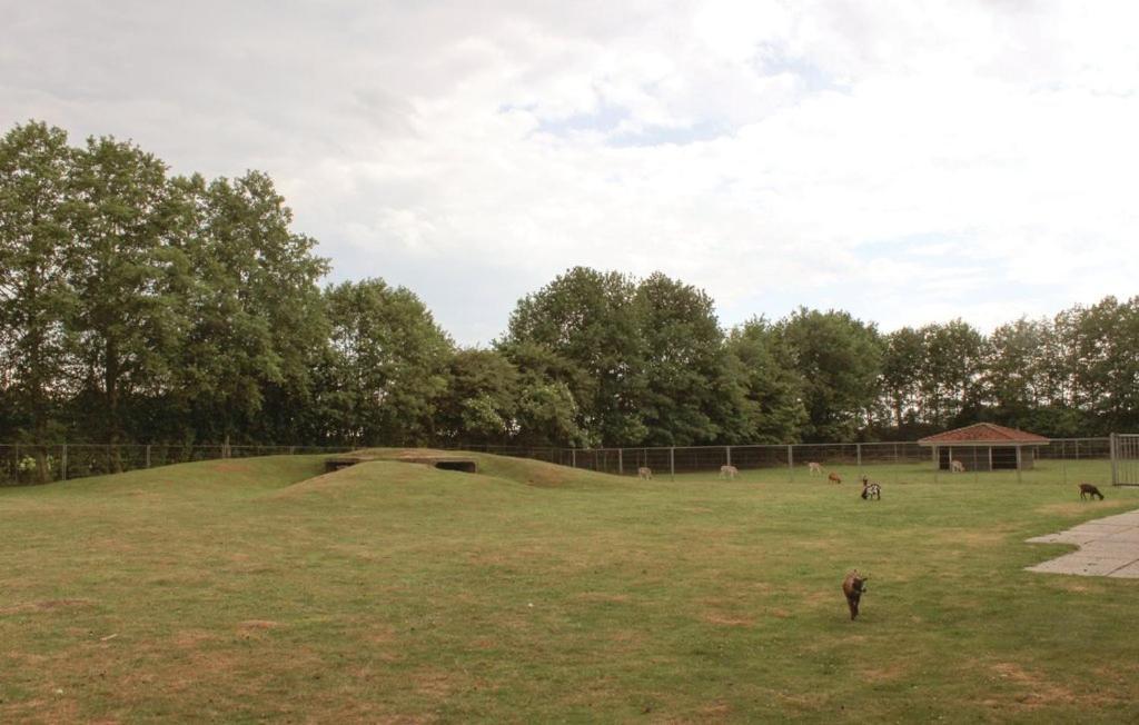 Het Familie Boshuisje - Vakantiewoning Op Prachtig Park Met Veel Faciliteiten Inc Ligbad Gramsbergen Exterior foto